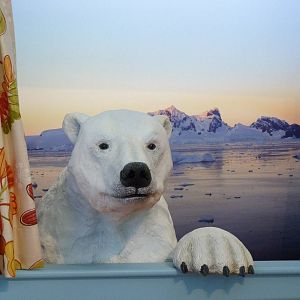 KidZoo U: Polar Bear in the Window