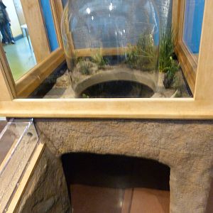 KidZoo U: Ants Pop Up Bubble