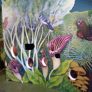 KidZoo U: Insect Exhibits