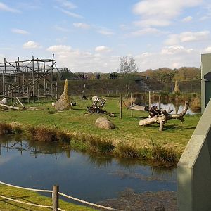 Out-side area of the second chimp-group