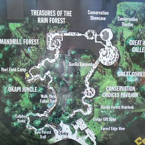 Congo Gorilla Forest Map