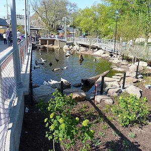 KidZoo U: Duck Pond