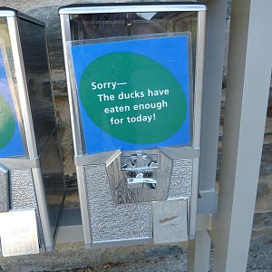 KidZoo U: Feeding Machine