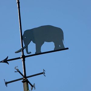 KidZoo U: Elephant Weather Vane