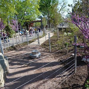 KidZoo U: Goat Walking Trail