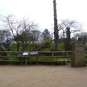 Andean Bear, Howler Monkey and Coati Enclosure, April 2013