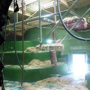 Gorilla house, April 2013