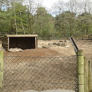 ´wart hog enclosure