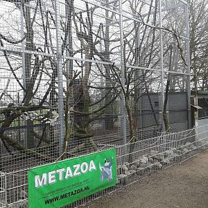 Clouded leopard enclosure - outside