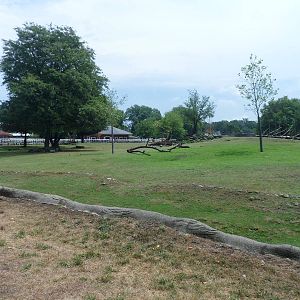 North America Mongolian Horse Exhibit