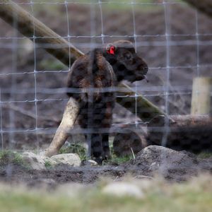 baby takin in leg cast