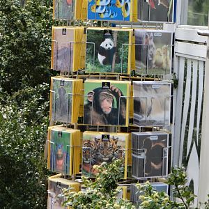 Postcards in the shop