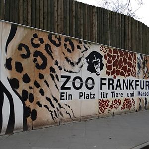 Enclosing the zoo