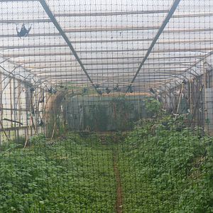 Bat Roost, April 2013