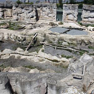 Zoo am Meer - Polar bear exhibit