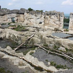 Zoo am Meer - Polar bear exhibit