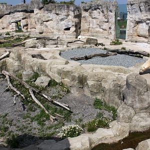 Zoo am Meer - Polar bear exhibit