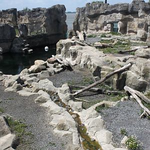 Zoo am Meer - Polar bear exhibit