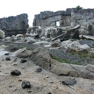 Zoo am Meer - Polar bear exhibit