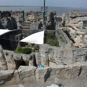 Zoo am Meer - Polar bear and polar fox exhibits