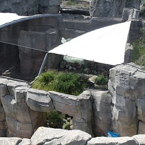 Zoo am Meer - Polar fox exhibit