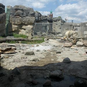 Zoo am Meer - Polar bear exhibit