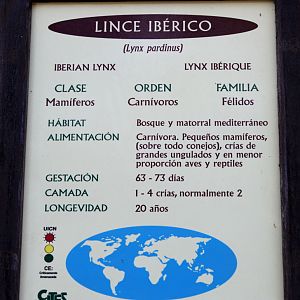 iberian lynx signage