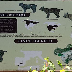 iberian lynx signage