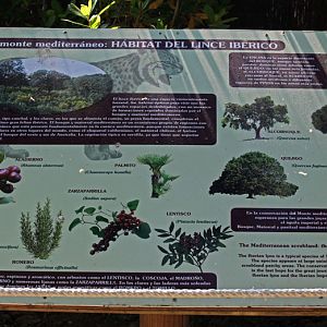 iberian lynx signage