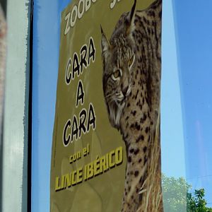 zoo sign on city bus