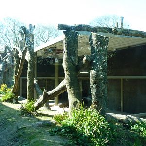 Gorilla enclosure, April 2013
