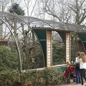 enclosure squirrel monkeys