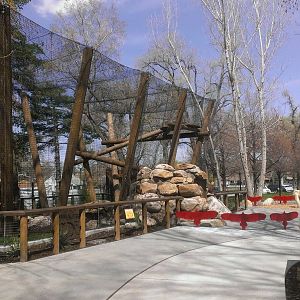 New Andean Condor Exhibit