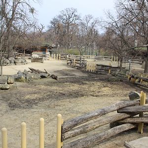 Indian Rhino enclosure