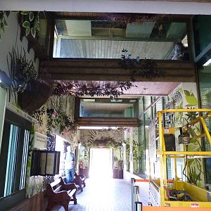 Inside the Orangutan House, April 2013