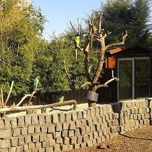 parrot-enclosure