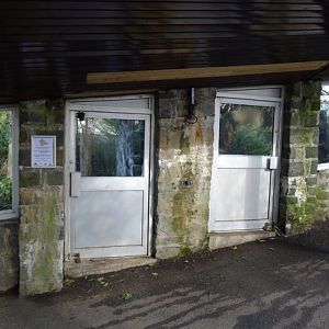 Big cat access doors