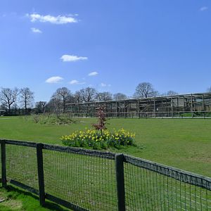view of grounds