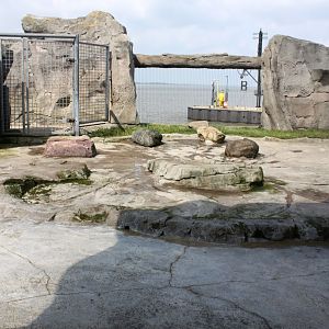 Zoo am Meer - Sea lion exhibit