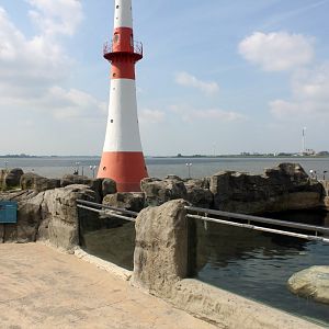 Zoo am Meer - Pinniped exhibits