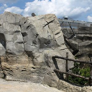 Zoo am Meer - Kea aviary