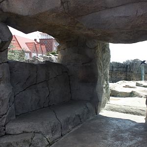 Zoo am Meer - Fur seal exhibit