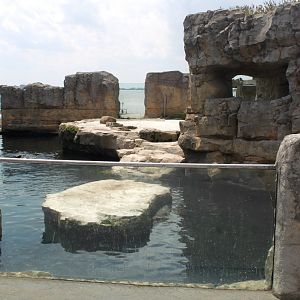 Zoo am Meer - Fur seal exhibit