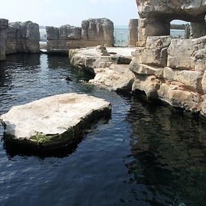 Zoo am Meer - Fur seal exhibit