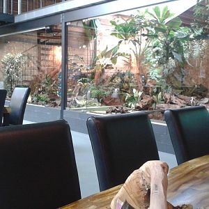 Terrariums at ground level