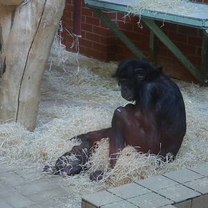 Banya and New Baby - 28/4/2013