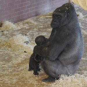 Ozala and Lope - 28/4/2013