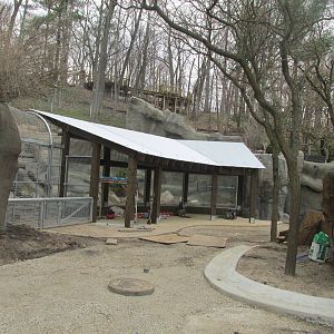 Bear Exhibit Construction