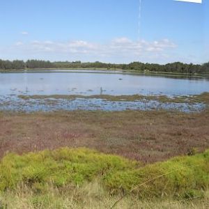 Waterbird Refuge