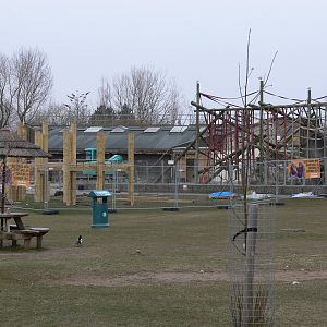 Orangutan construction at Blackpool Zoo, 07/04/13